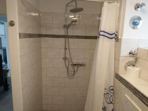 a bathroom with a shower with a shower curtain at NEU! Ferienwohnung am Ahlberg in Toppenstedt +8 photos