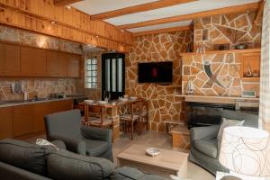 a living room with a couch and a fireplace at Zeusplace Crown Platamon in Platamonas