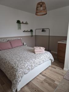 a bedroom with a bed and a pendant light at chez mamy in Reguisheim