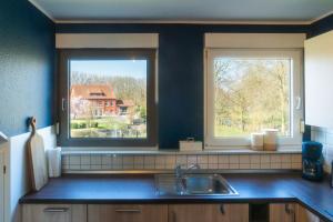 a kitchen with two windows and a kitchen sink at Zur Herrlichkeit in Warendorf
