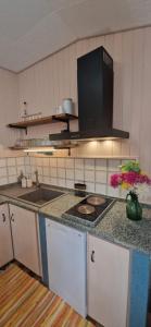 a kitchen with a sink and a counter top at Tertium Home in Telti