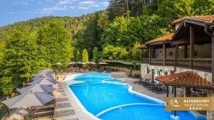 an image of a swimming pool at a resort at Alfaresort Palace Chiflika in Chiflik