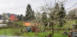 a tree in a field with a red house at Ferienwohnung Waidmannsheil in Amtsberg