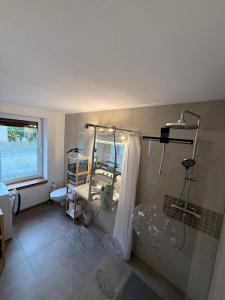 a bathroom with a shower and a toilet and a sink at Ferienwohnung Waidmannsheil in Amtsberg