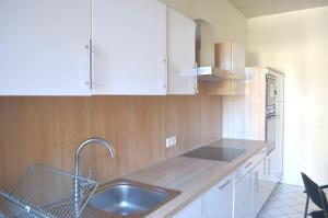 a kitchen with a sink and a counter top at Grosses Zimmer im Zentrum Elise , ruhig & gemuetlich in Chemnitz +52 photos