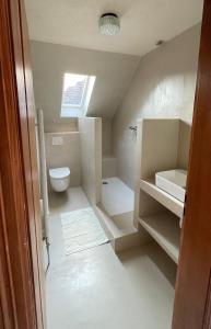 a small bathroom with a toilet and a window at Maison Maragelie in Westhoffen +37 photos