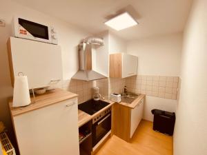 a small kitchen with a sink and a refrigerator at Weimar Cityappartement in Weimar