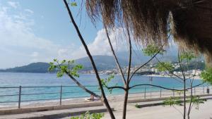a view of the beach with a palm tree at Oasis on the Beach in Himare