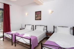 two beds sitting next to each other in a room at Lithorama Granitsa mountain rooms in Granitsa