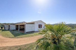 a house with a palm tree in front of it at Tegghja Country Suites in Rena Majore