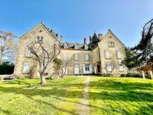 an old stone house with a tree in the yard at Chateau de Bouquetraud in Franchesse +7 photos