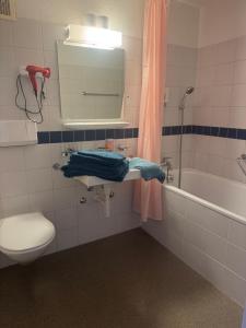 a bathroom with a sink and a toilet and a mirror at Hotel ilufa in Meiringen