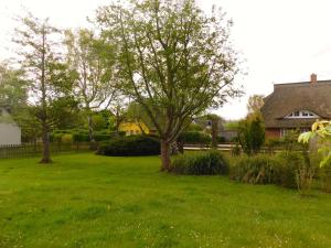 a yard with two trees and a house at Alte Büdnerei 1 Abeking-Haus in Althagen