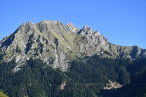 a mountain covered in trees with a blue sky at Lithorama Granitsa mountain rooms in Granitsa