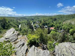 Blick von einem Berggipfel mit Bäumen in der Unterkunft Der Gimpel in Harzgerode