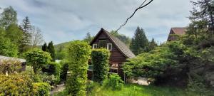 eine Blockhütte im Wald mit Bäumen in der Unterkunft Der Gimpel in Harzgerode