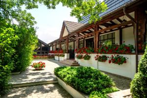 ein Innenhof eines Hauses mit Blumen und Pflanzen in der Unterkunft Hotel Bellaria in Iaşi