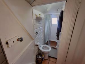 a small bathroom with a toilet and a shower at Swiss Cottage Guest House in Cape Town +42 photos