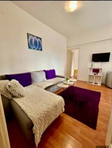 a living room with a couch and a tv at Centar S in Pirot