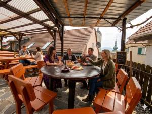 a group of people sitting around a table in a restaurant at Mein Wein Apartment in Krems an der Donau