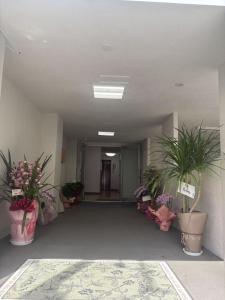 an empty hallway with potted plants in a building at 亀井町Stay501 in Takamatsu +1 photo