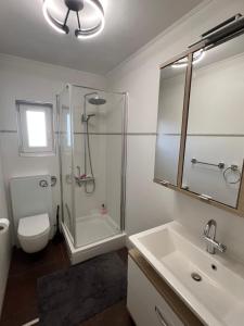 a bathroom with a shower and a toilet and a sink at Villa Birk in Barbat na Rabu +34 photos