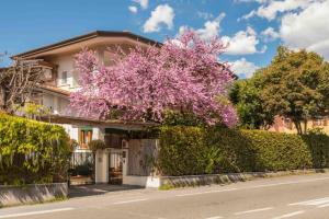 a house with a flowering tree in front of it at sopra al FORTE in Querceta