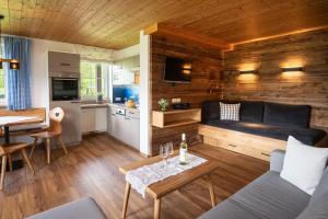 a living room with a couch and a table at Alpenrösle Ferienwohnungen - Berge - Ruhe - Traumaussicht 1-, 2- und 3-Raum-Wohnungen, Panoramasauna in Balderschwang +61 photos