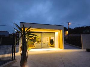 a glass house with a palm tree in front of it at Casa O OLIVO in Boiro