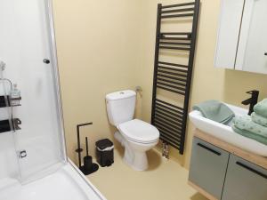 a bathroom with a toilet and a sink and a shower at Mein Wein Apartment in Krems an der Donau +24 photos