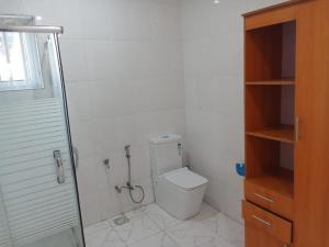 a white bathroom with a toilet and a shower at PrimeAxishub in Ilorin