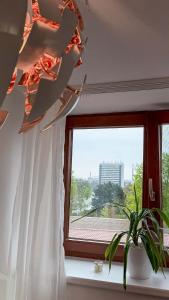 a window with a curtain and a plant in a room at Penzion Navara in Kolín