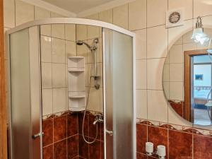 a bathroom with a shower with a mirror at Apartments Sofija in Slatine +156 photos