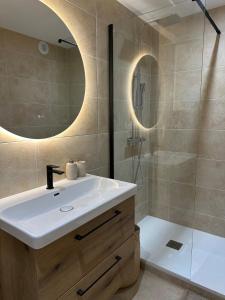 a bathroom with a sink and a shower at Le Cocon de Milan in Valras-Plage
