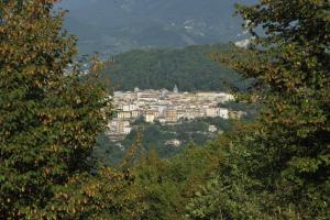 a view of a city from between two trees at Palazzo del Senatore in Atina