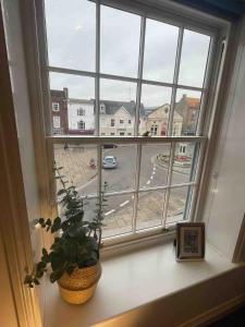 a window with a potted plant on a window sill at Large town centre apartment with parking in Wallingford +8 photos