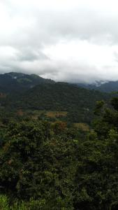 a view of a valley with trees and mountains at Trekker's Lodge in Matale