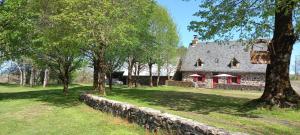 an old stone house with a tree in front of it at Guidon Fourchette et table d'hôtes in Saint-Bonnet-de-Salers