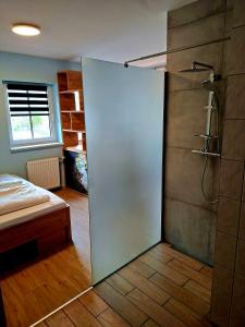 a bathroom with a shower with a glass door at Camping und Chalet Saggraben in Palfau