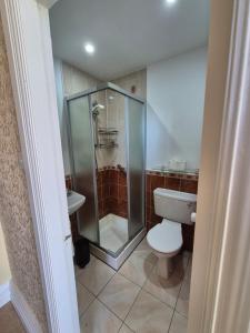 a bathroom with a toilet and a glass shower at Glenduff Manor in Glendiff