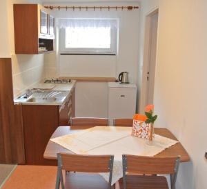 Kuchyňa alebo kuchynka v ubytovaní Apartmány Růže