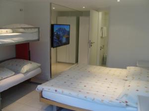 a bedroom with two bunk beds and a flat screen tv at Vista Resort Hostel in Zweisimmen