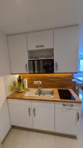 a kitchen with a sink and a counter top at Villa Müsli in Dettingen an der Iller