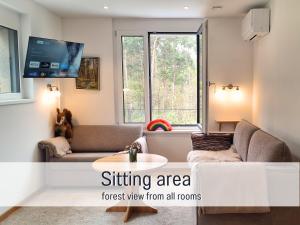 a living room with a couch and a table at Baham-Apartment Nuernberg - including hot tub, sauna, massage chair, roof terrace, barbecue - metro 15 min, exhibition center 8 min walk in Nuremberg