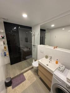 a bathroom with a shower and a sink and a toilet at Kaunas City Center Apartment in Kaunas +9 photos