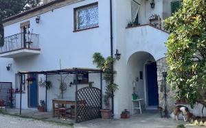 ein weißes Haus, vor dem ein Hund steht in der Unterkunft PODERE Sant'Anna B&B -Bambù room in Atri + 3 Fotos