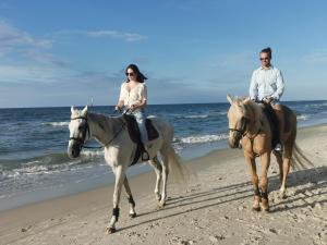 a man and a woman riding horses on the beach at NOVA ULINIA Sea - dom nad morzem, podgrzewany basen, sauna, balia z jacuzzi,Starlink in Ulinia