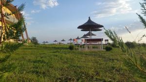 Zahrada ubytování Panorama Guesthouse