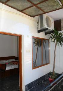 a room with a mirror and a palm tree in it at zoz mount abu in Jāmb