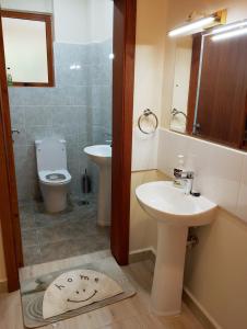 a bathroom with a sink and a toilet at Kwame Homes in Nakuru +16 photos